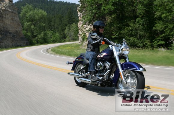 2006 harley-davidson flsti heritage softail photo